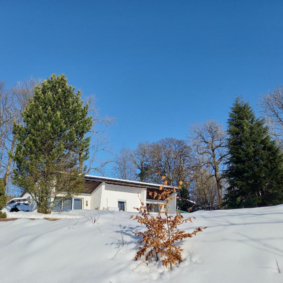 Adbs Ferienhaus Winterberg Kültér fotó